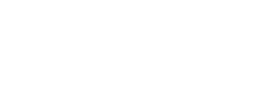 White Version of Logo of Phoenix Chiropractic Injury Clinic